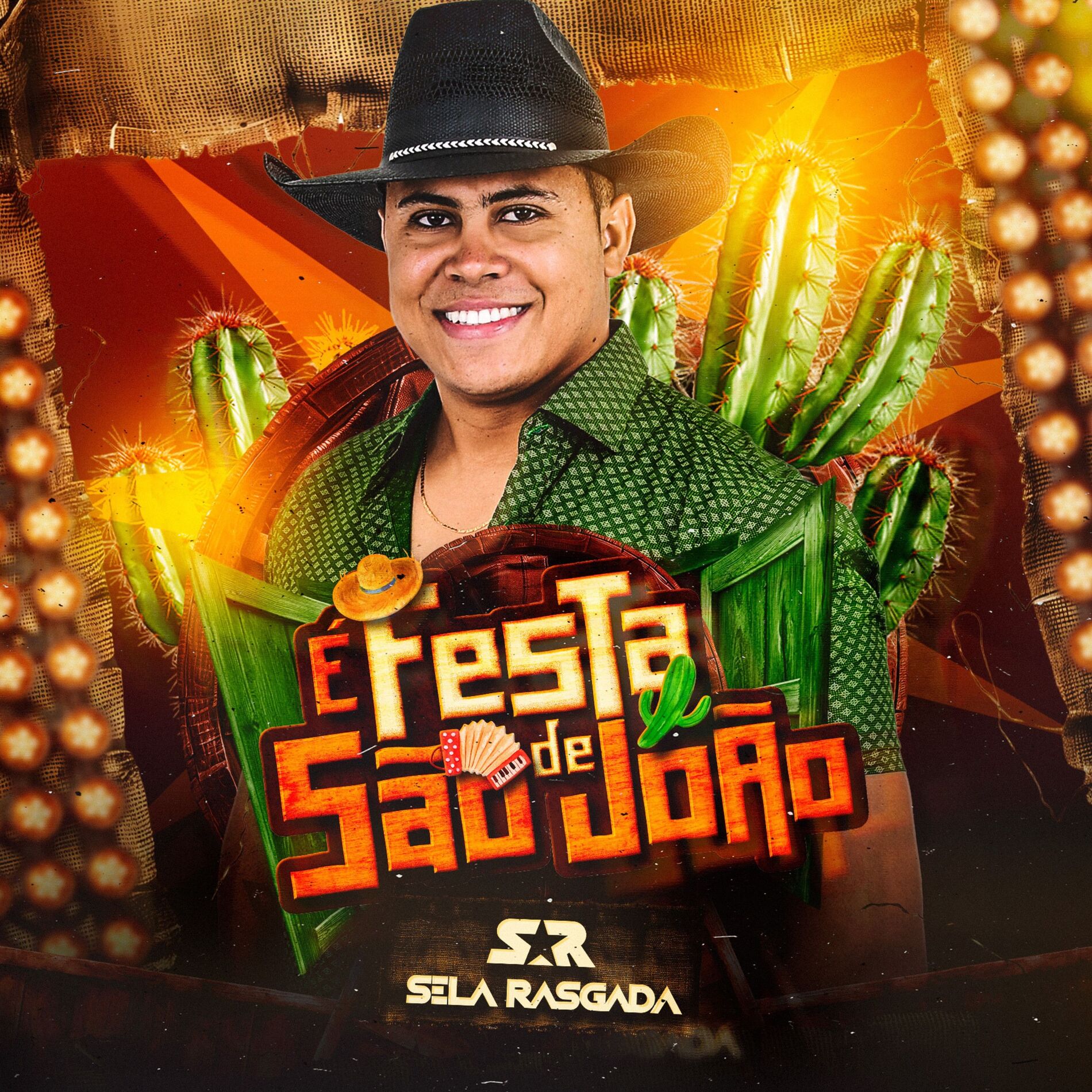 Album cover of É Festa de São João