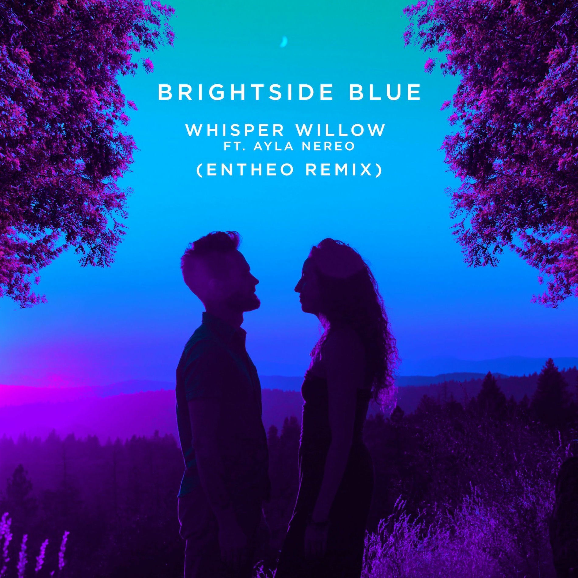 Album cover of Whisper Willow (Entheo Remix)