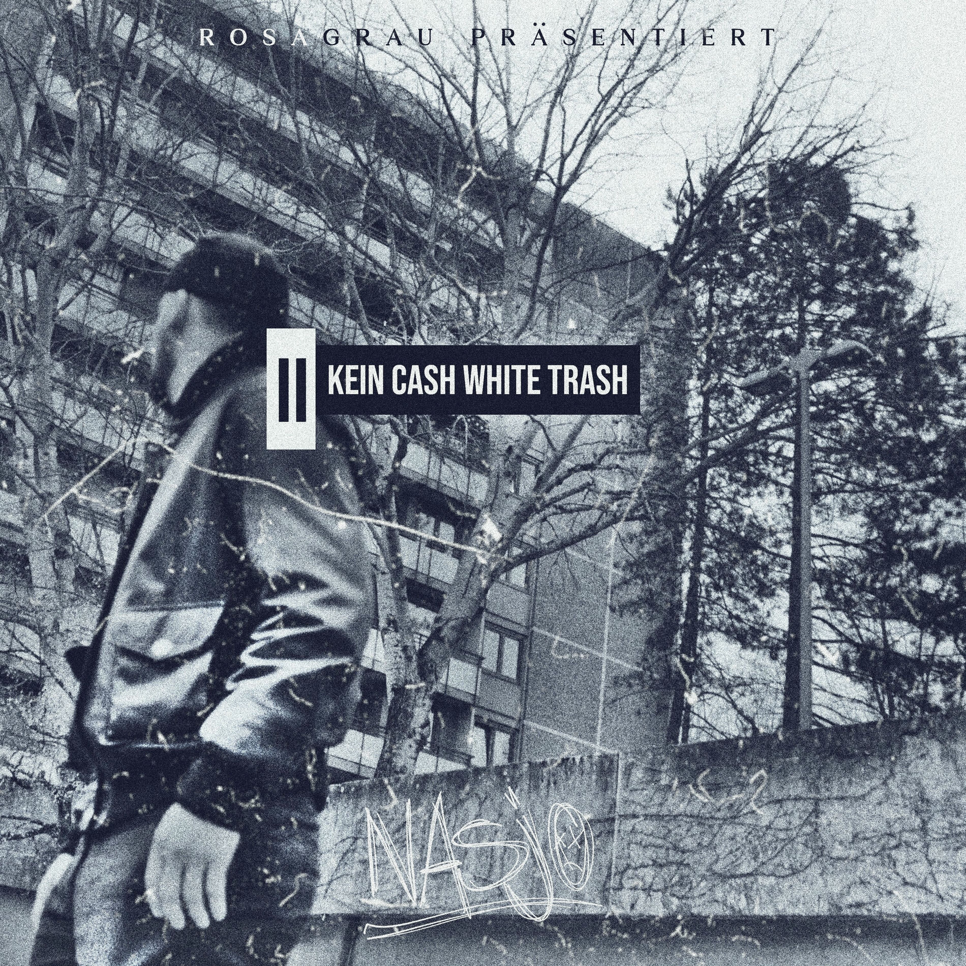 Album cover of Kein Cash White Trash 2