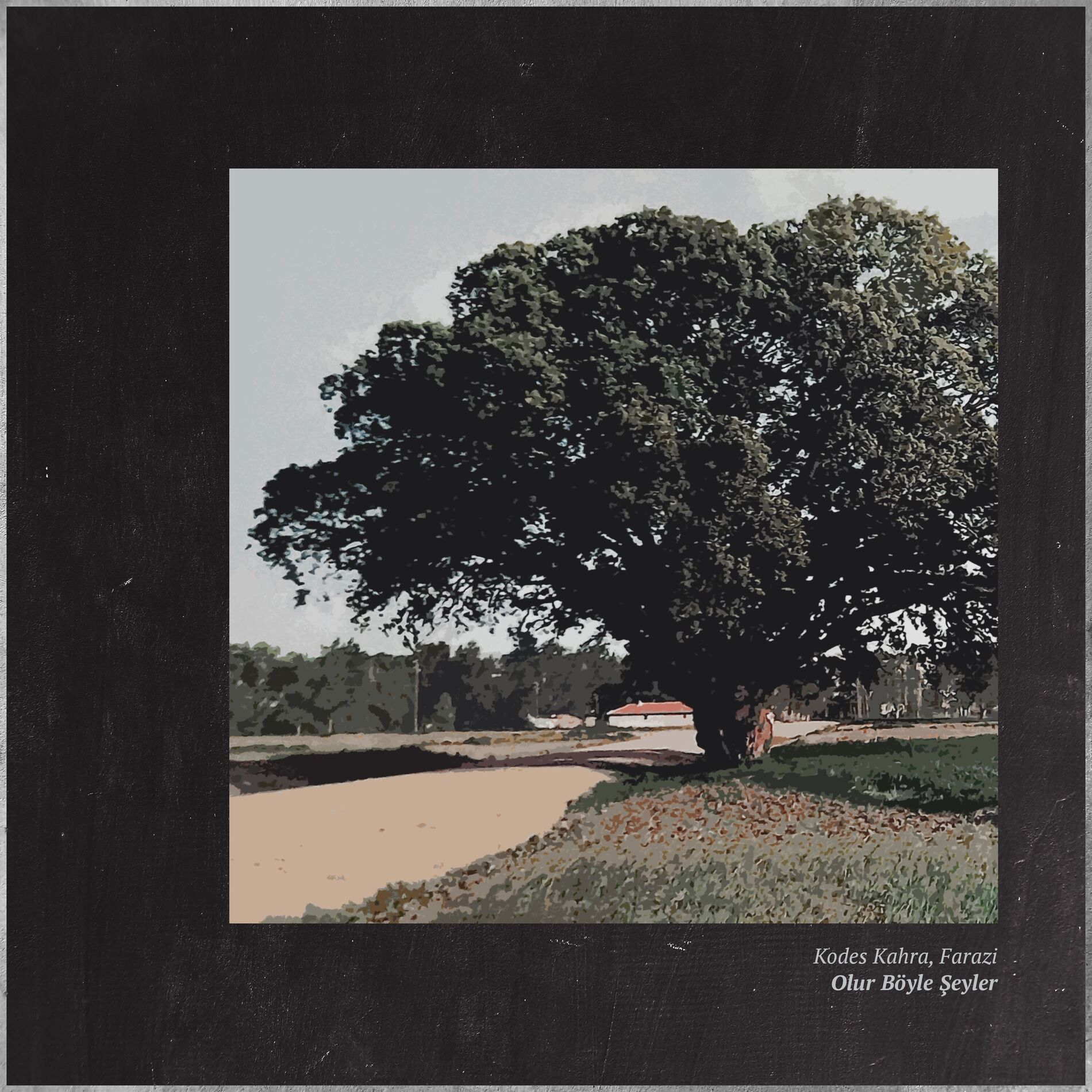 Album cover of Olur Böyle Şeyler