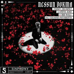 Cover of Nessun Dorma (feat. Luciano Pavarotti)