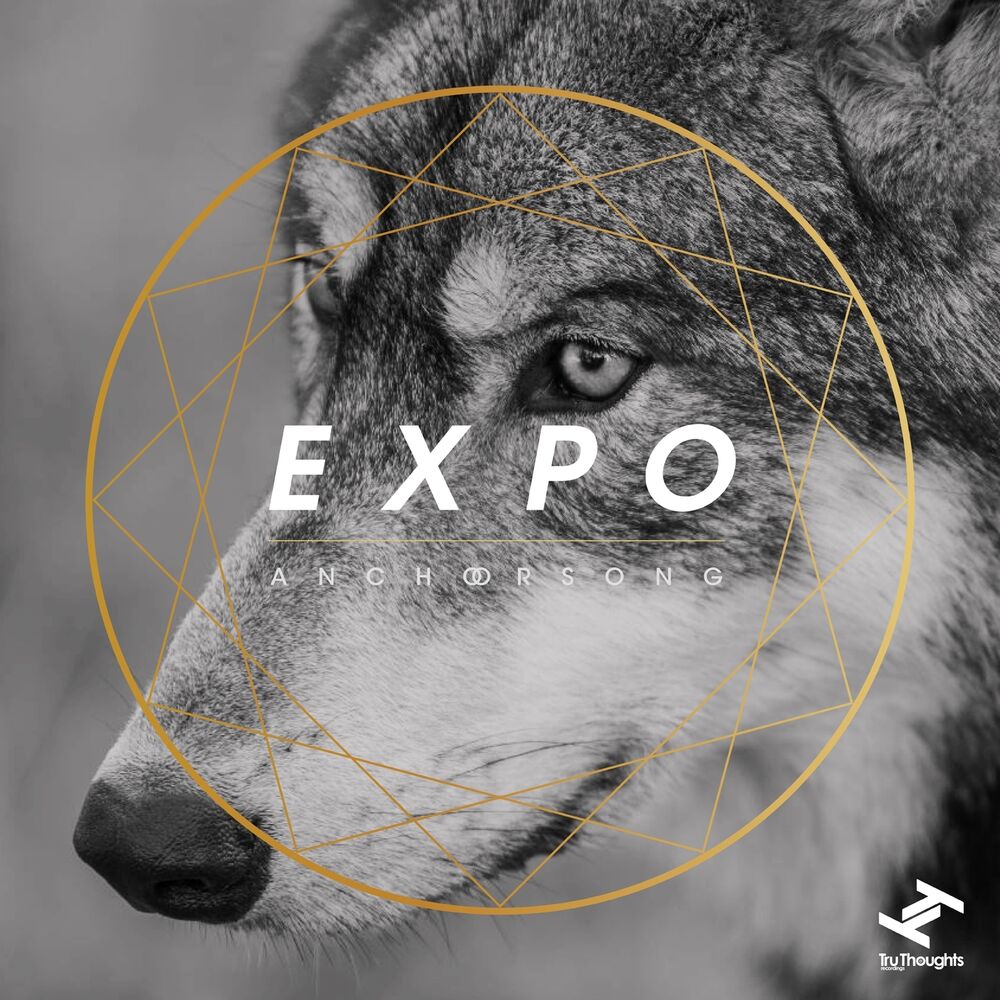 Picture of Expo