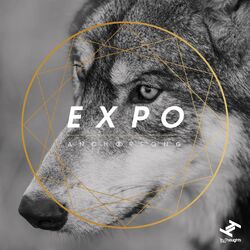 Cover of Expo