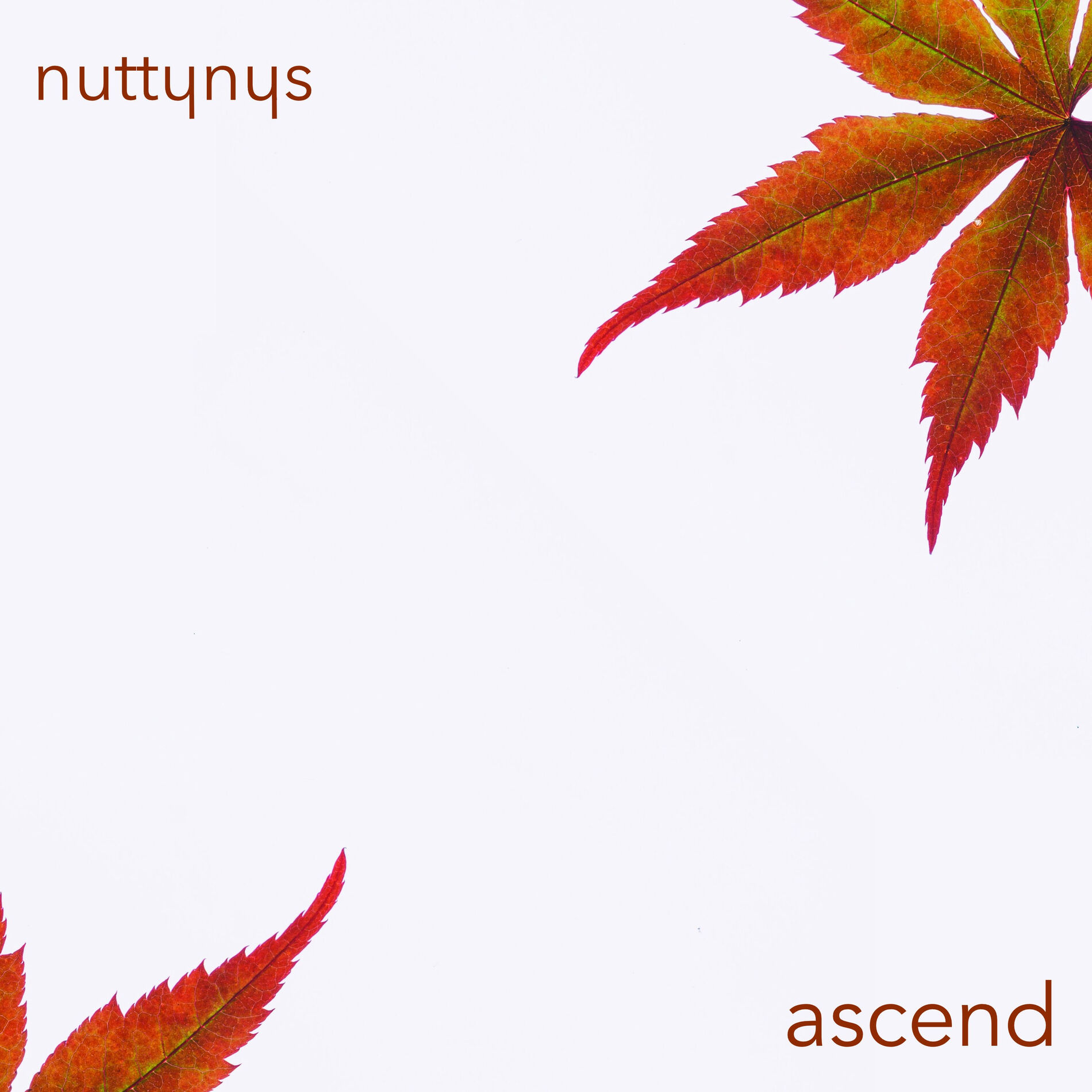 Album cover of Ascend