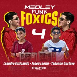 Cover of Medley Funk Foxics 4