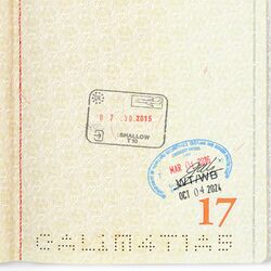 Cover of Shallow (2015)