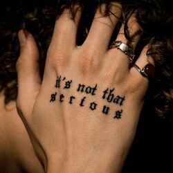 Cover of IT'S NOT THAT SERIOUS