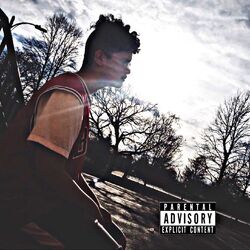 Cover of DISTANT