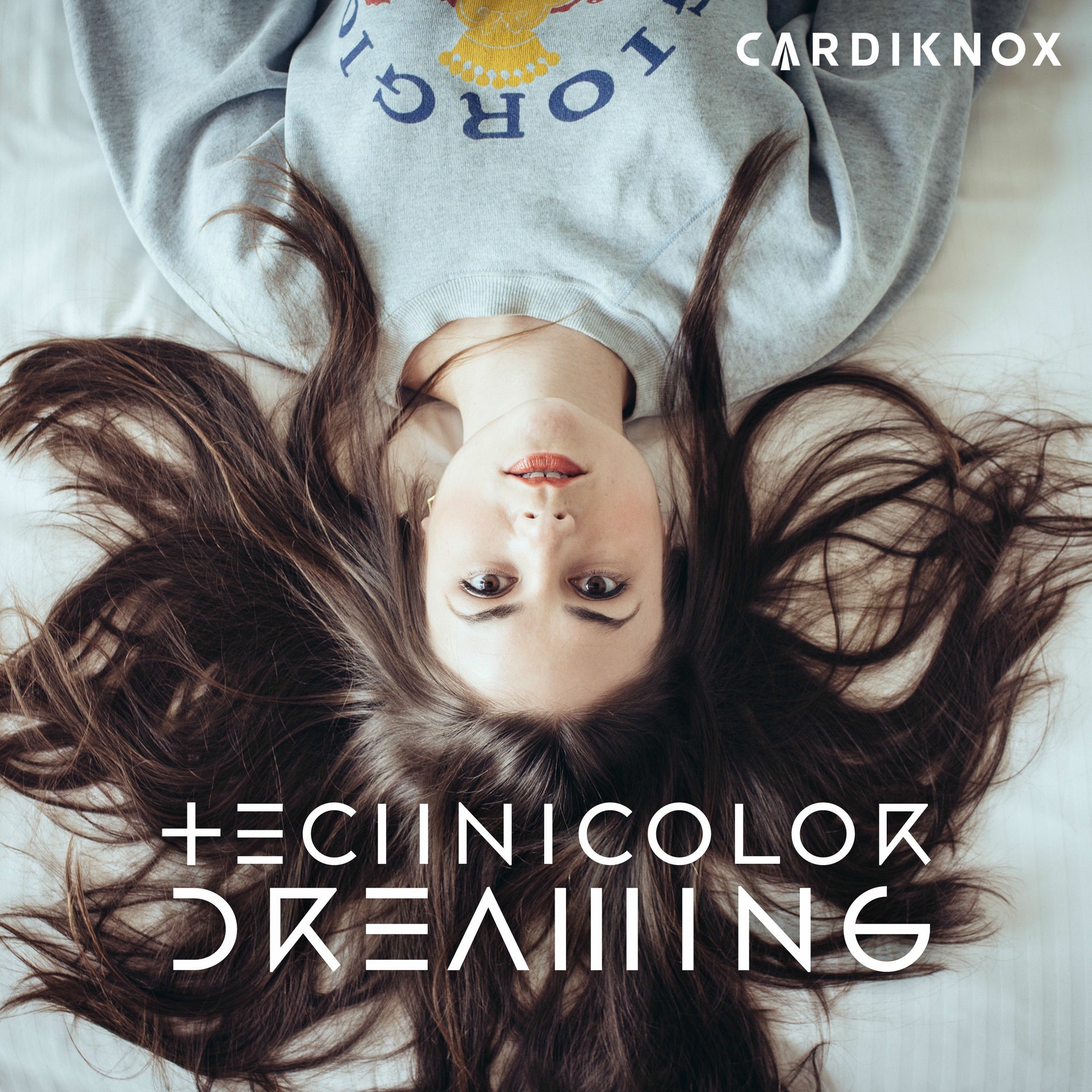 Album cover of Technicolor Dreaming