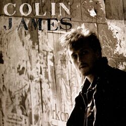 Cover of Bad Habits