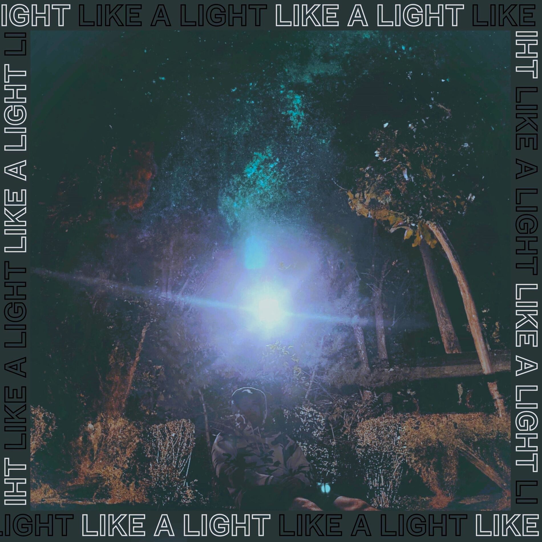 Album cover of LIKE A LIGHT