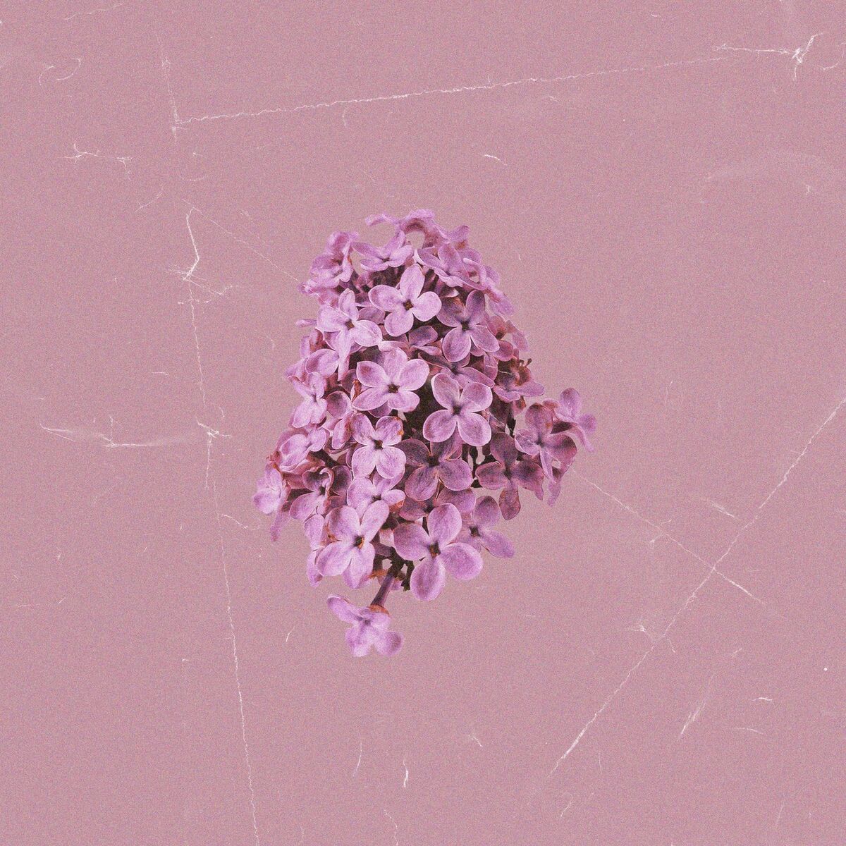Album cover of orchard pt. 1