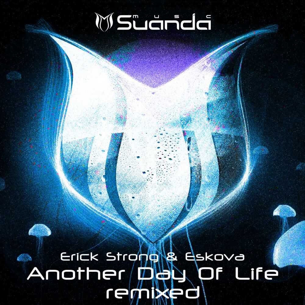 Picture of Another Day Of Life (Remixed)