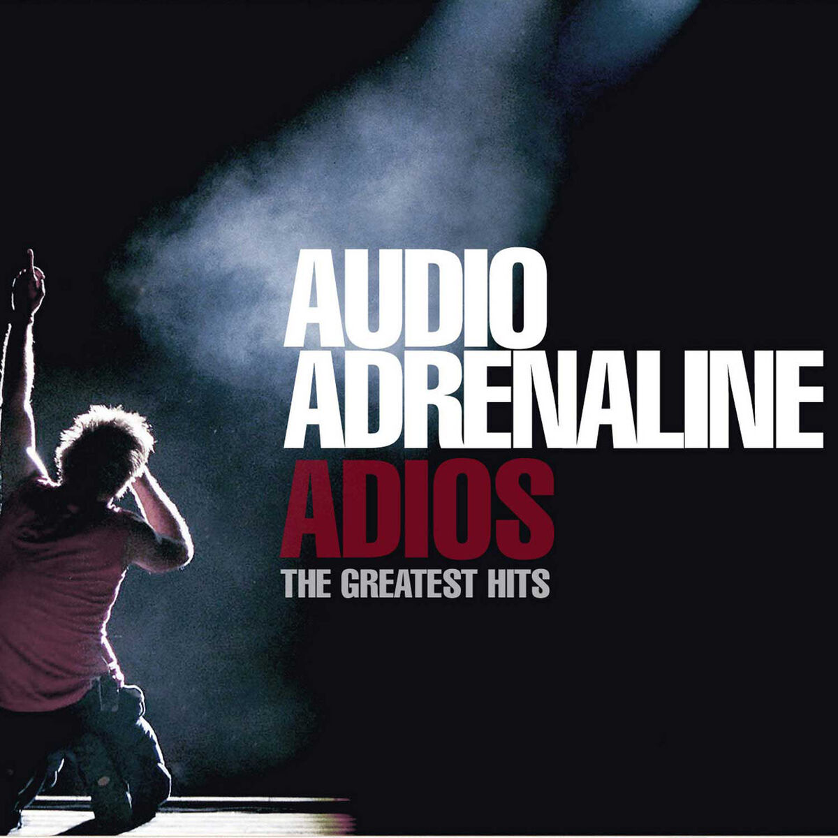 Album cover of Adios