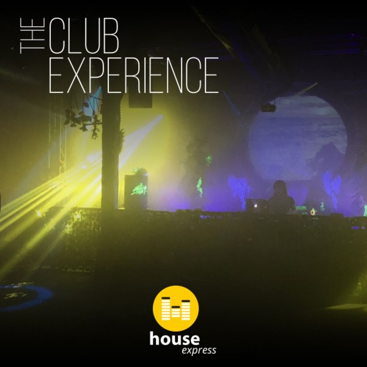 Album cover of The Club Experience