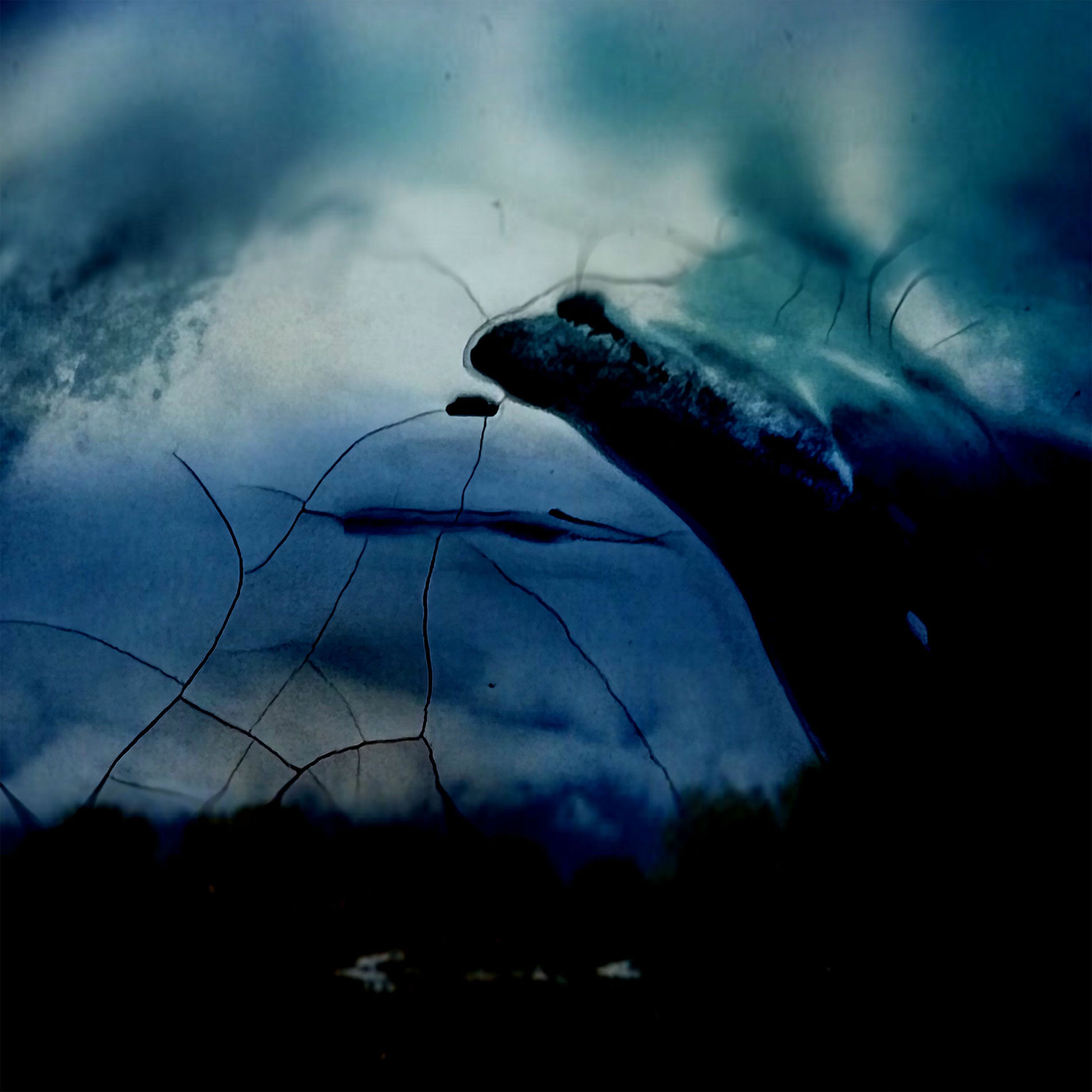 Album cover of Echoes of Solace
