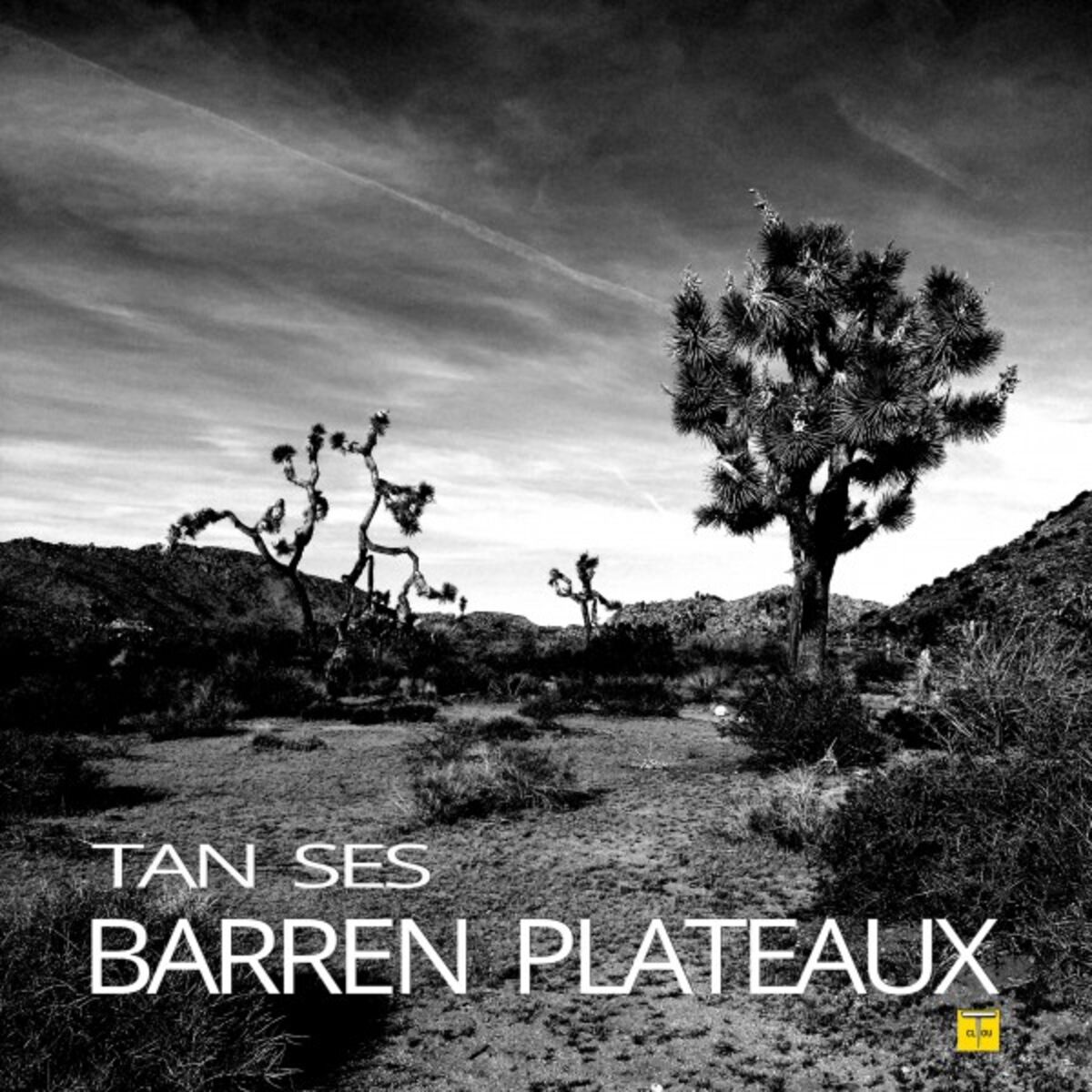 Album cover of The First Light