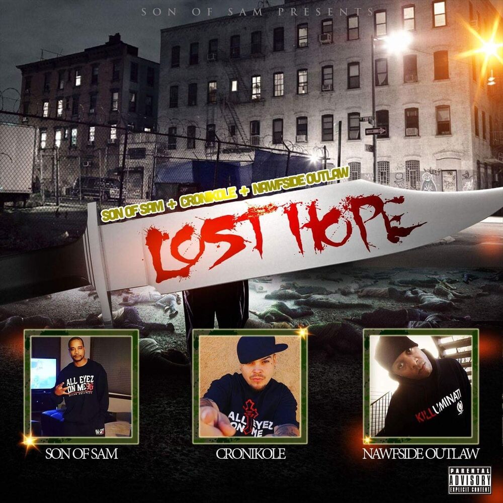 Picture of Lost Hope