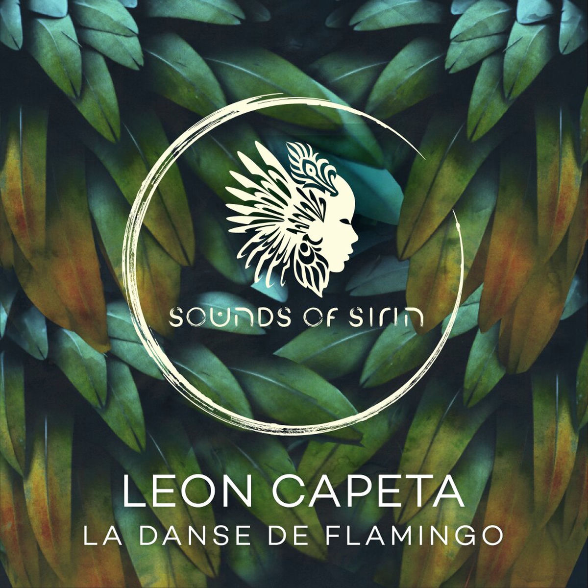 Album cover of La Danse de Flamingo