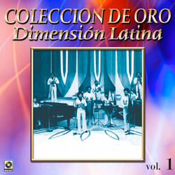 Cover of Colección De Oro: A Bailar La Salsa Con Dimensión Latina, Vol. 1