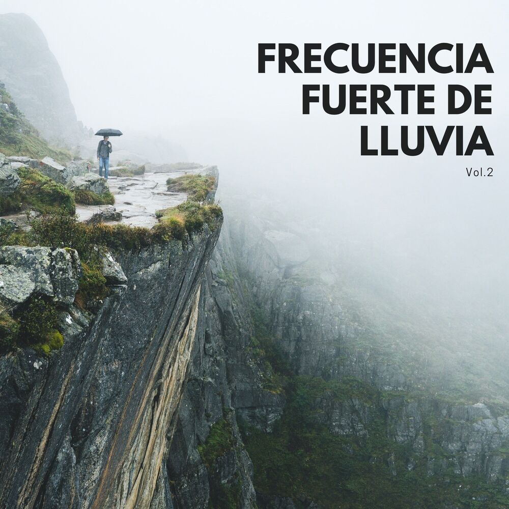 Picture of Frecuencia fuerte de lluvia Vol.2