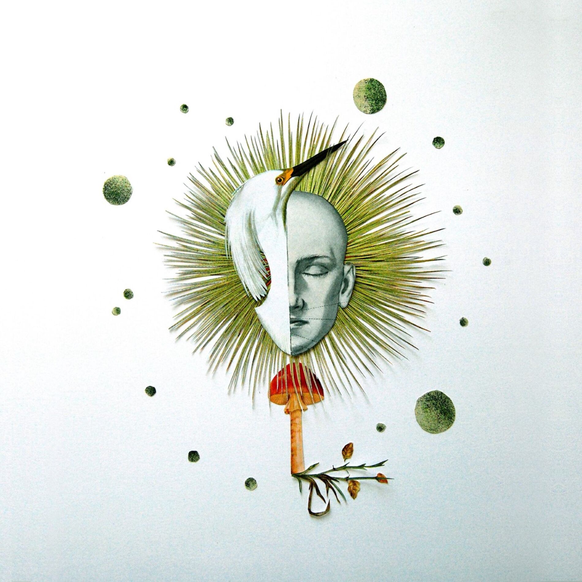 Album cover of Primitive Initiative