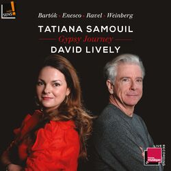 Cover of Gypsy Journey