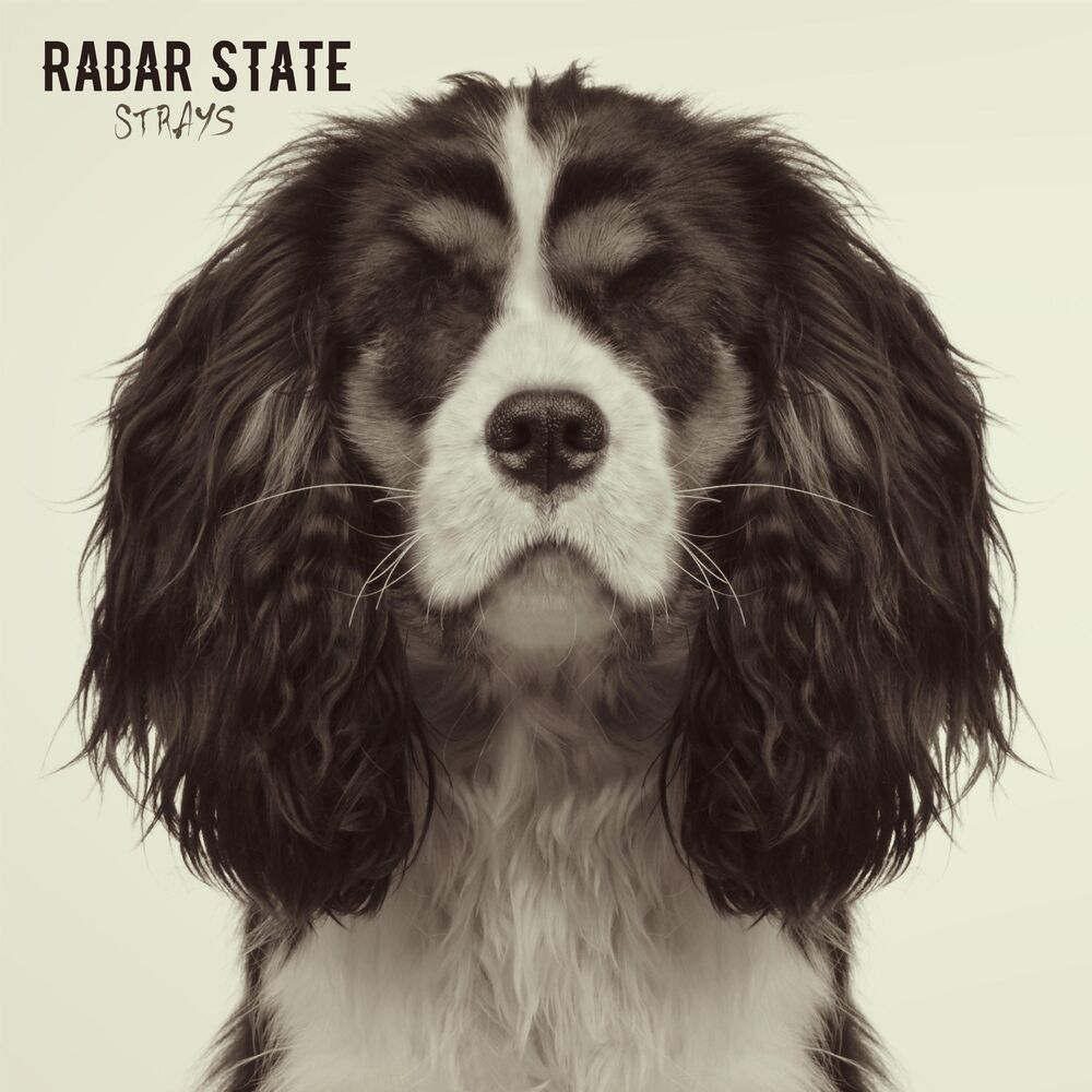 Picture of Strays