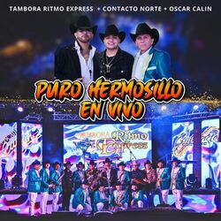 Cover of Puro Hermosillo (En Vivo)