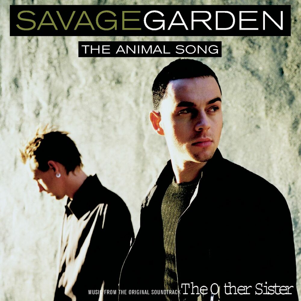 Picture of Animal Song