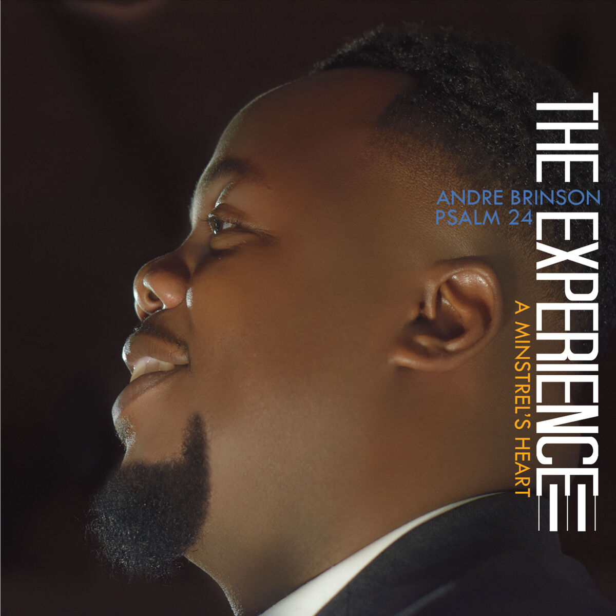 Album cover of The Experience