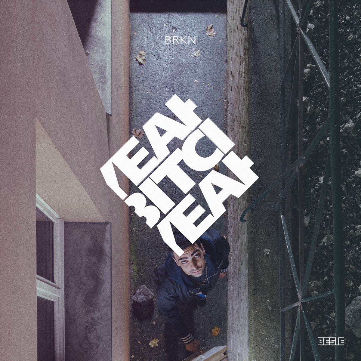 Album cover of Yeah Bitch Yeah
