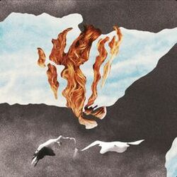 Cover of Skin Crawl