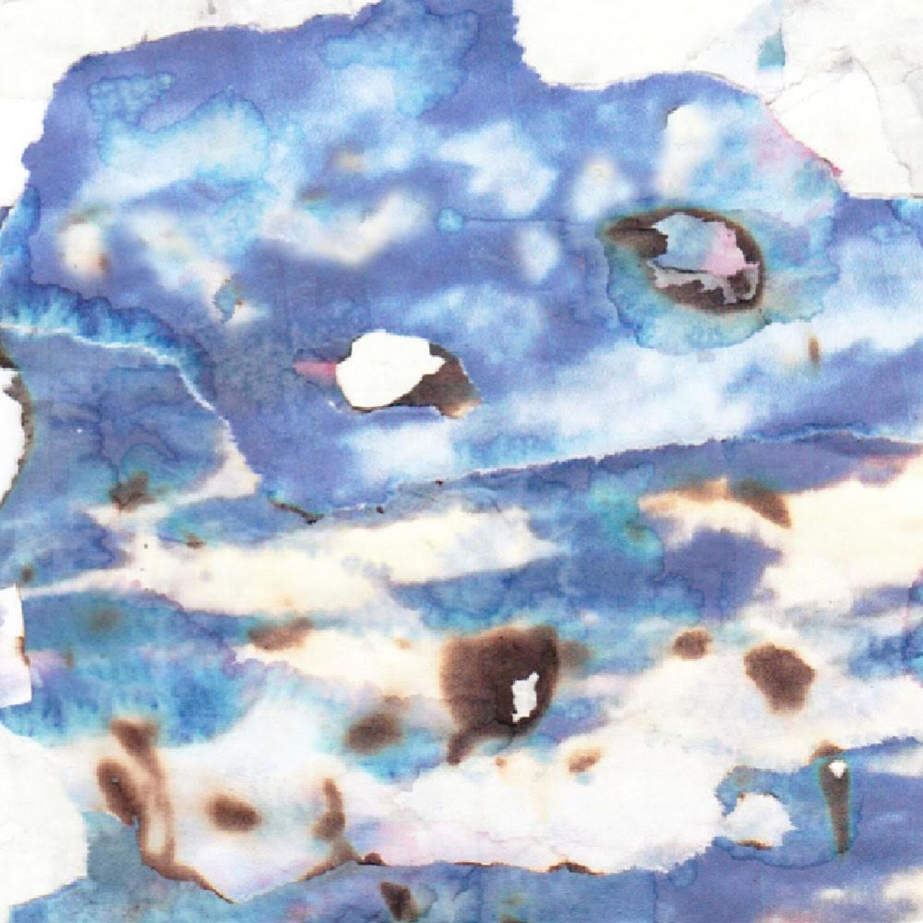 Album cover of Rewbie