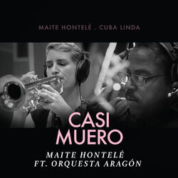 Cover of Casi Muero
