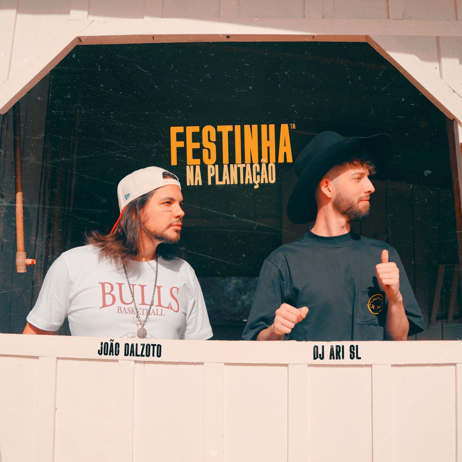 Album cover of Festinha na Plantação