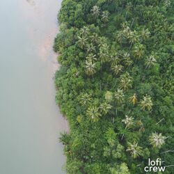 Cover of Calming and Serene Jazz Dreams