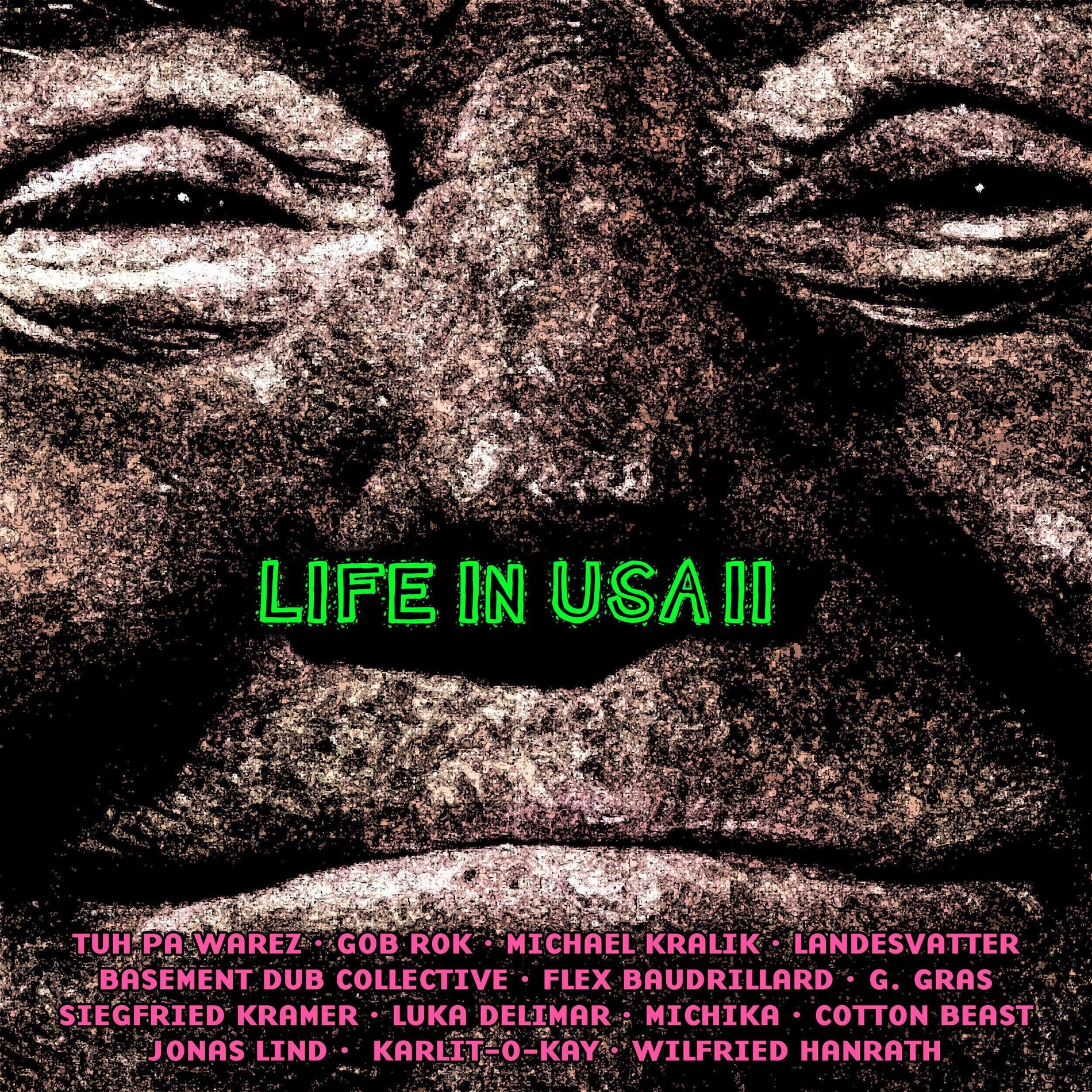 Album cover of Life in USA II