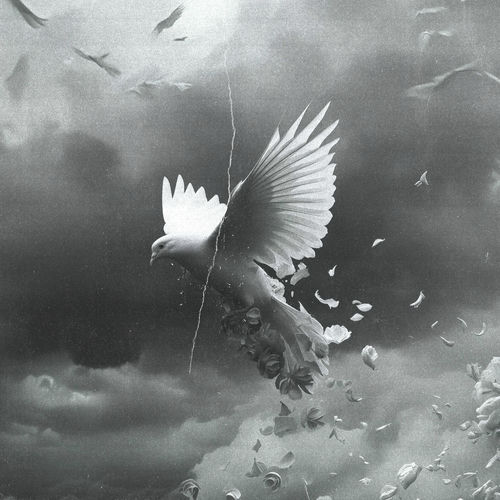 Brad – Avalon (Feat. RUMO) – Single