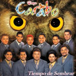 Cover of Tiempo De Sembrar