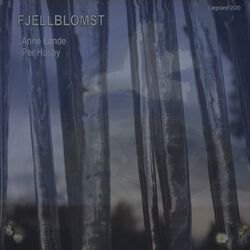 Cover of Fjellblomst