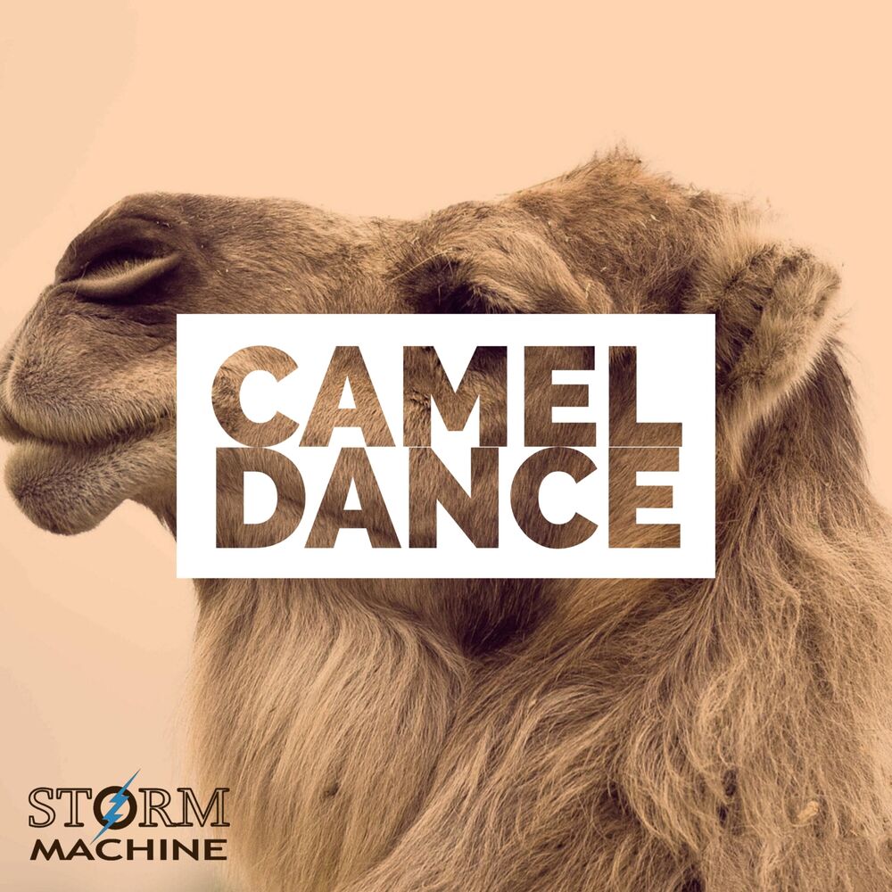 Picture of Camel Dance