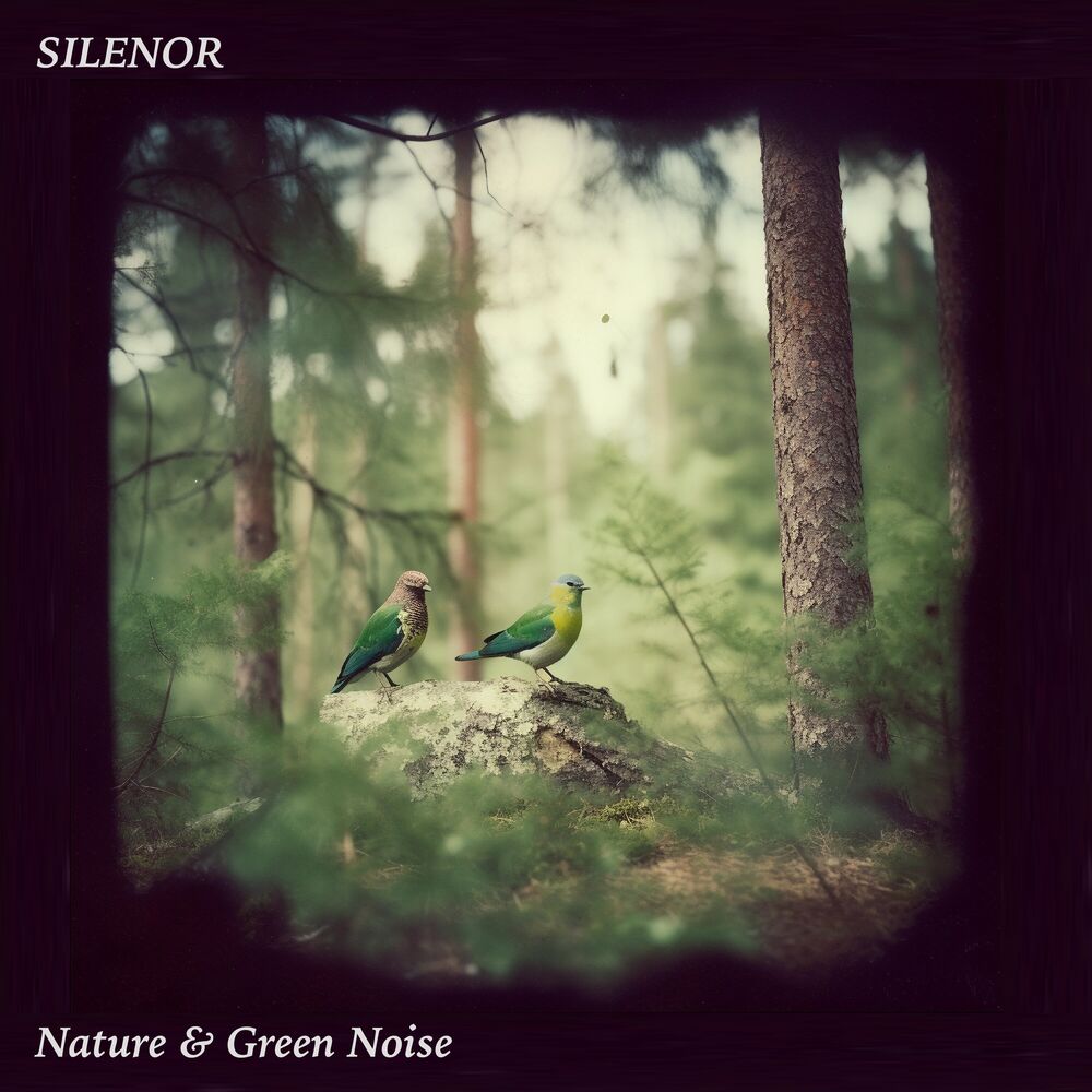 Picture of Nature & Green Noise