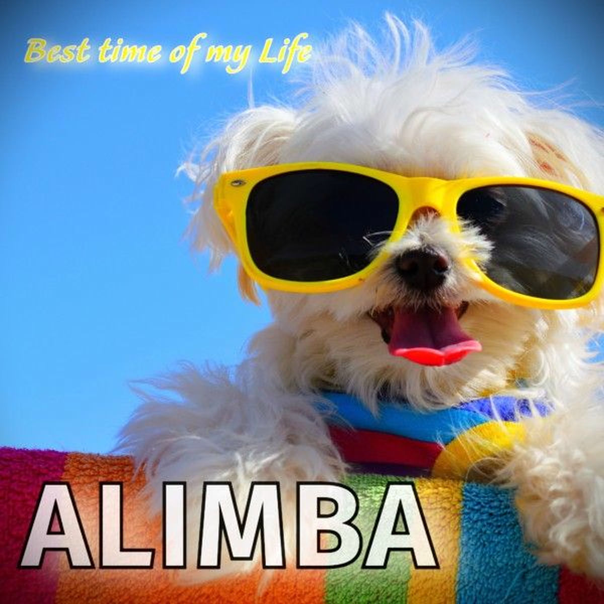 Album cover of Best Time of My Life