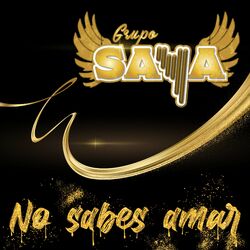 Cover of No sabes Amar (En Vivo)