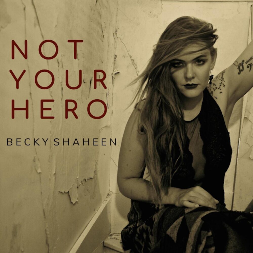 Picture of Not Your Hero