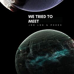 Cover of We Tried To Meet