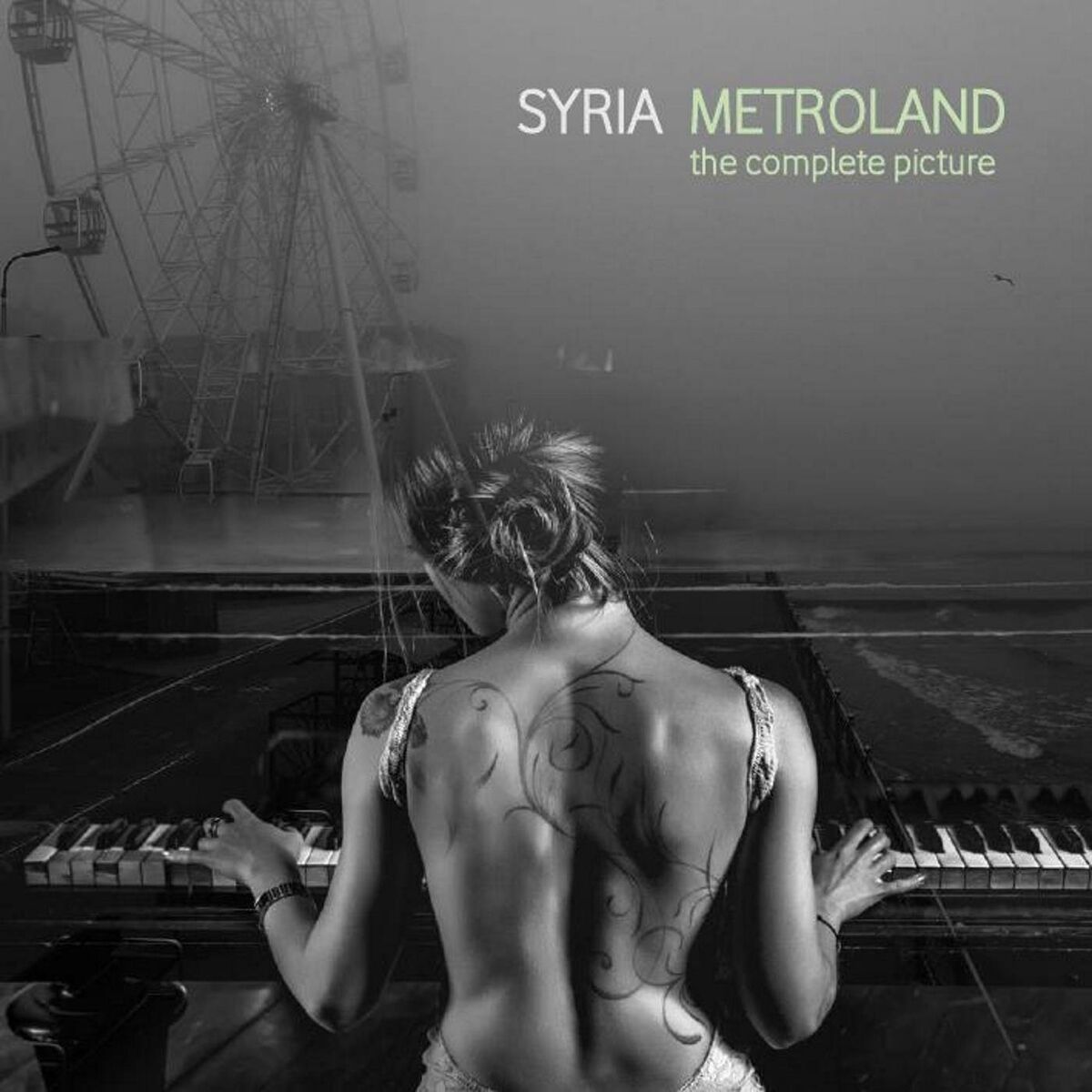 Album cover of METROLAND: THE COMPLETE PICTURE
