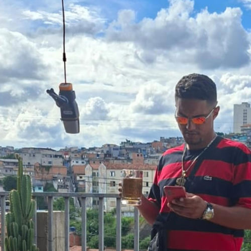 Você é zika