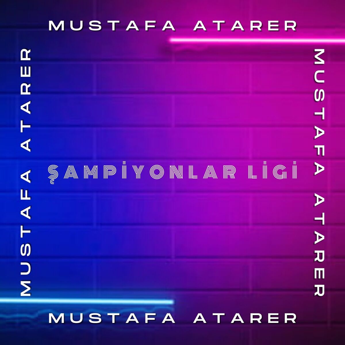 Album cover of Şampiyonlar Ligi
